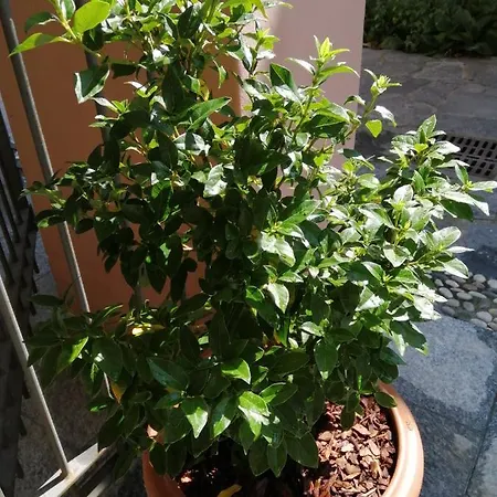 Locanda Di Campagna *